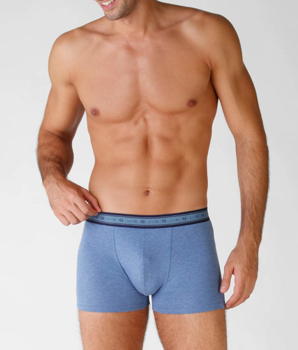Lovable Men's organic cotton boxer shorts, pack of 2, blue melange