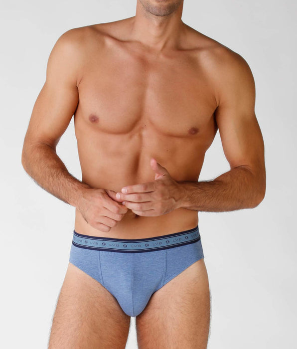 Lovable Men's briefs in organic cotton, pack of 2 in blue melange