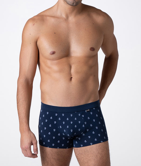 Lovable Printed Stretch Cotton Boxer Shorts, blue paisley print