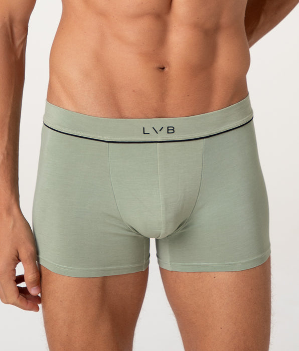 Lovable Modern Cotton Modal boxer shorts, sage