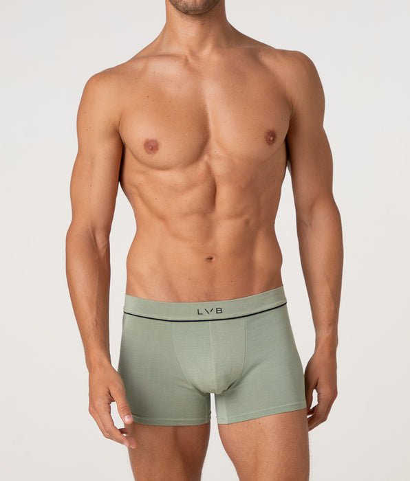 Lovable Modern Cotton Modal boxer shorts, sage