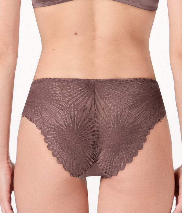 Lovable Blowball Lacy Micro briefs in microfiber and lace, hazelnut