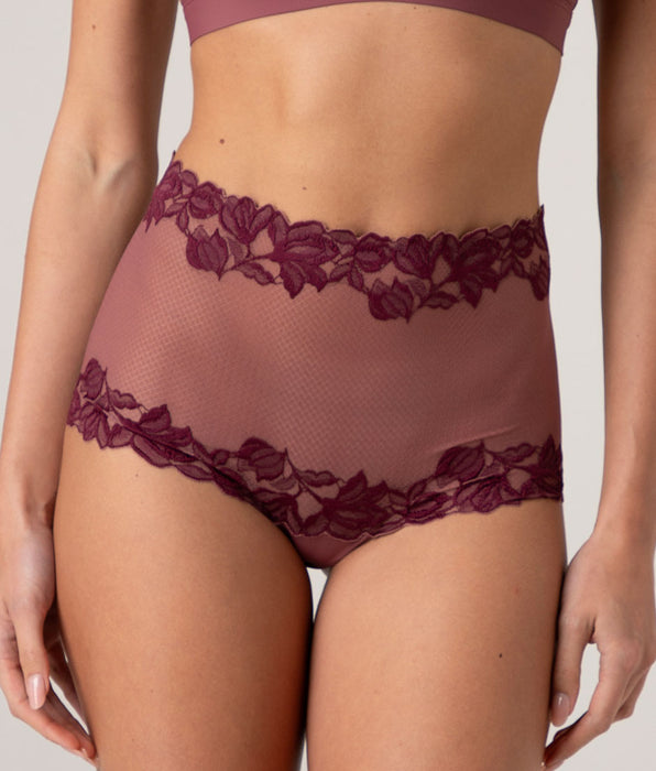 Lovable Elegant Muse Lace High Briefs, amaranto red and wine