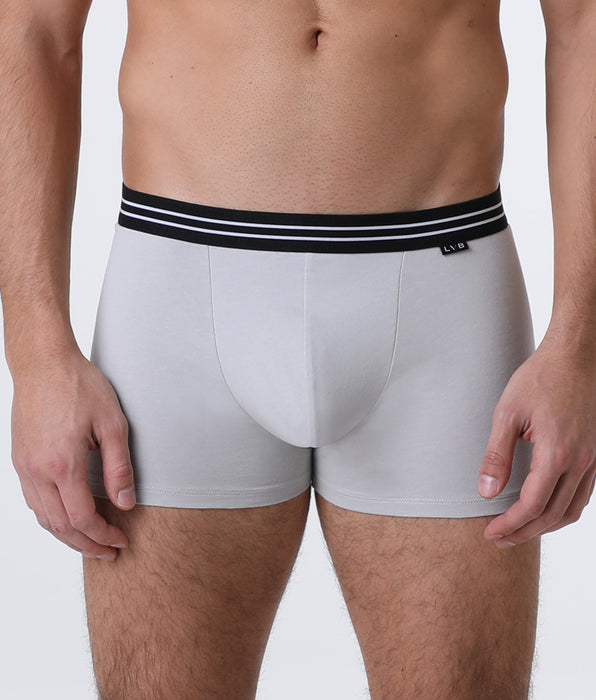 Lovable Basic Multipack Stretch Cotton Boxer Briefs 2-Pack, Ice Grey