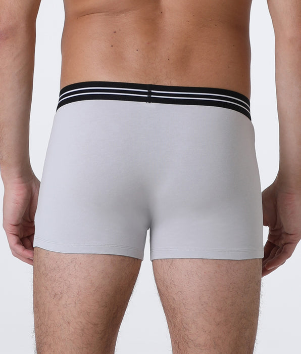 Lovable Basic Multipack Stretch Cotton Boxer Briefs 2-Pack, Ice Grey